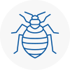 Bed Bug Extermination In Rossendale