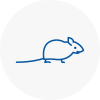 Mice Exterminators In Rossendale